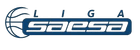 Chile Liga SAESA