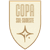 Copa Sul-Sudeste