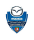 Oman Federation Cup