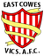 East Cowes Victoria Athletic