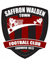 Saffron Walden Town