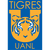 Tigres UANL U21