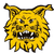 FC Ilves U21