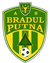 Bradul Putna
