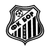 Bor 1919