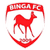 Binga