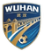 Wuhan Team
