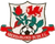 Aberbargoed Buds
