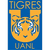 Tigres UANL U19