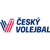 Czech Cup